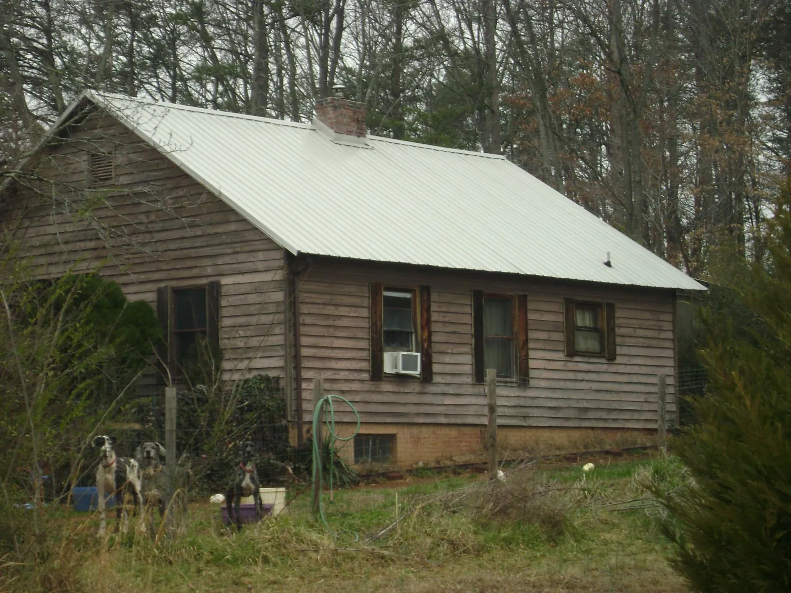 White metal roof on an old wood sided farmhouse, from a Asphalt Shingle Roof Repair job in Jasper
